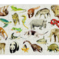 Animals 100 Piece Jigsaw Puzzle for Children