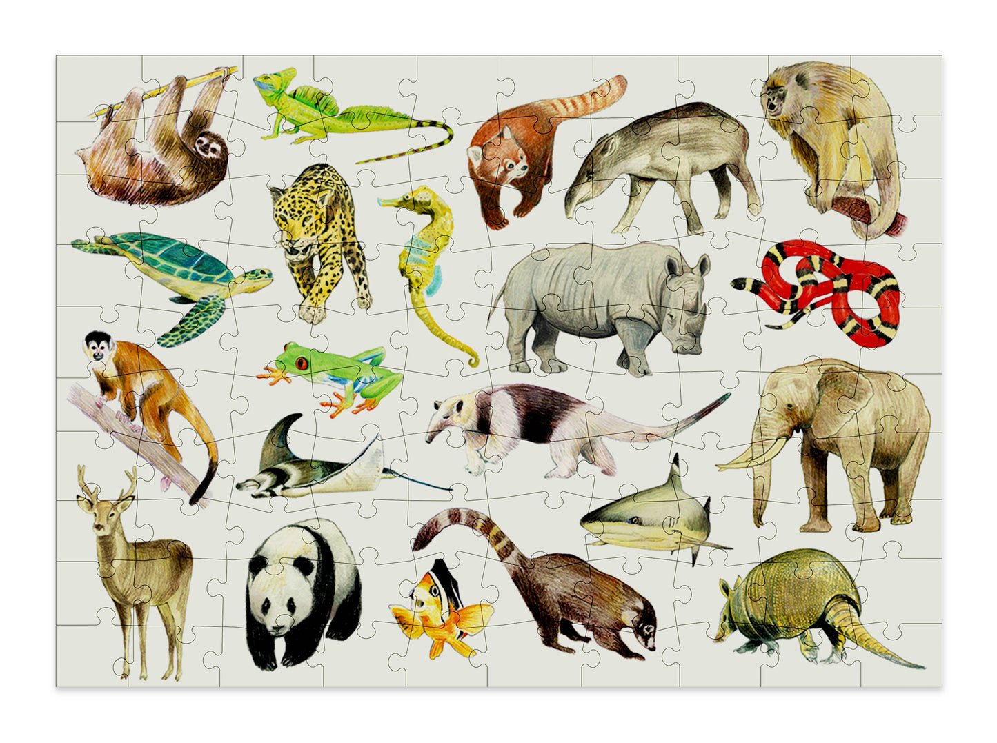 Animals 100 Piece Jigsaw Puzzle for Children