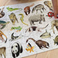 Animals 100 Piece Jigsaw Puzzle for Children